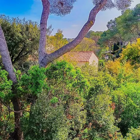 Reiala Saint-raphael Сен-Рафаэль