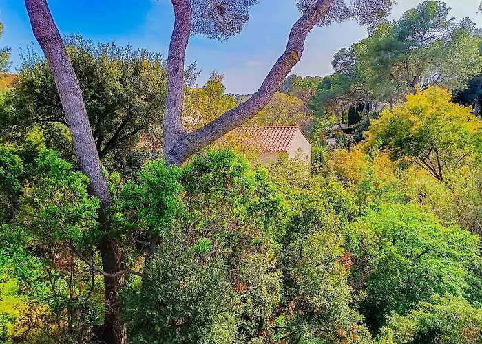 Reiala Saint-raphael Saint-Raphaël